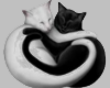 Black White Cat LOVE