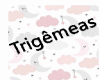 Trigêmeas