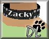Zacky Studded Collar