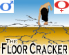 Floor Cracker -v1b