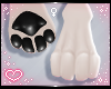 ˏˋ✧ Furry Paws