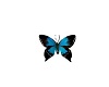 Summer Blue Butterfly