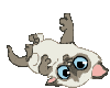 cute kitty