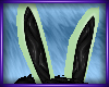 B* Bunny ears leaf