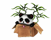 Bambu Panda Box