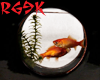 goldfish bowl 2