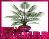 QMBR Plant Potted Palm F