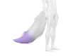 ♥Wolf tail purple
