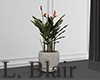 Plant.