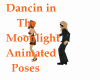 Dancin in the Moonlight