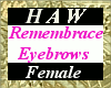 Remembrance Eyebrows - F