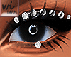 760│ Zell Shadow