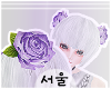 서울 Hair Roses v2.