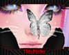 Tp White Butterfly