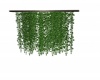 {LS] Hanging plant