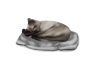 Animated Sleeping Cat