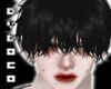 Hoshi