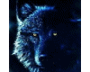 Mystical Midnight Wolf