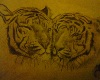 cuadro tigres siryulio