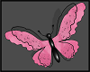 Butterfly Decor