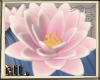 ML lotus Flower pink