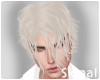 Sl Wet Hair Blonde