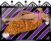 SP Auburn Missile Tail