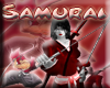 (RN)*Samurai Waki 2