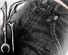 ╋━ STITCHED