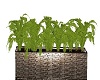 Brick Regtange planter