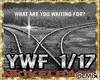 What Are You Waiting For