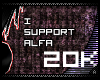 -a 20K SUPPORT