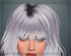 Taylor Platinum
