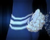 Maple Leafs Tail