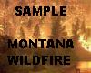 montana wildfire