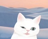 CattyMaw