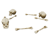 Assorted Bones