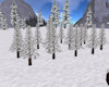 CRF* 15 Winter Pines