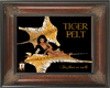 (20D) Tiger Pelt