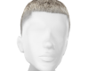 ring pel