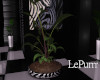 Urban Zebra Plant