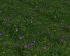 night grass w/flowers