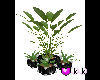 (KK) Large Planter