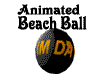 (R97) Beach Ball