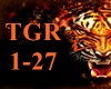 6v3| Survivor
