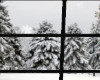 Winter window scene 4