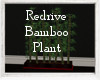 Redrive Bamboo Plant