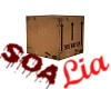 SOA Cardboard Box