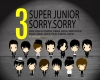 [C] Super Junior Sorry