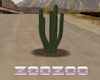Z Cactus